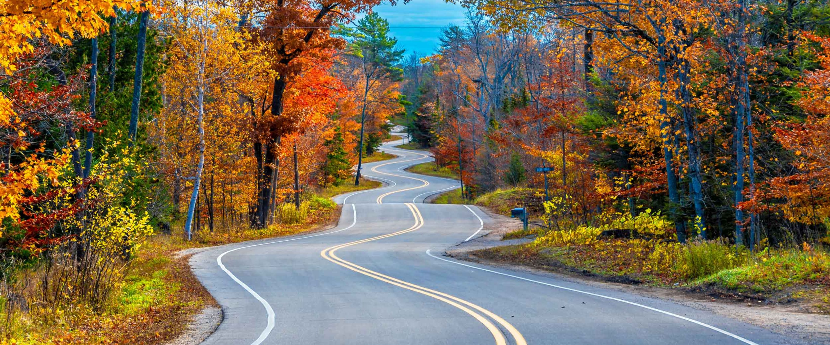 Fall foliage in Wisconsin