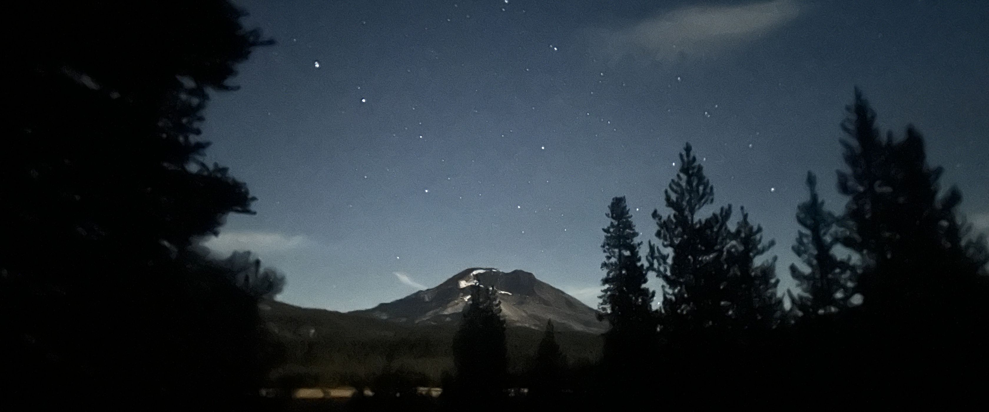 Night time image of trees and stars